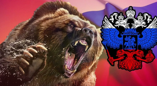 Цикунов Алексей Олегович